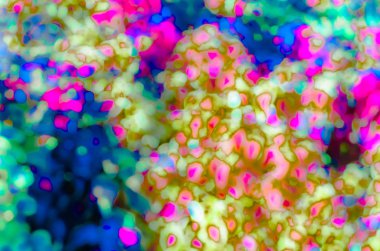 renkli arka plan illüstrasyon