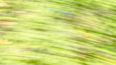 Renkli soyut arkaplan