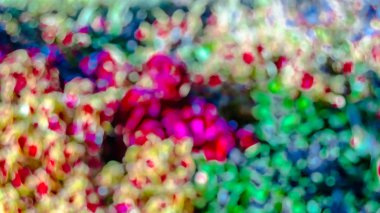 Renkli soyut arkaplan