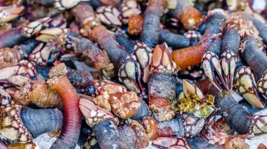 Kaz kıskaç bir balık pazarında