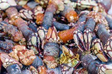 Kaz kıskaç bir balık pazarında