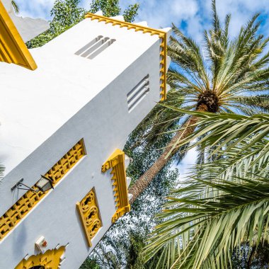 İspanya 'nın Alicante Eyaleti, Elche Palm Grove' daki beyaz bina.