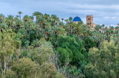 İspanya 'nın Alicante eyaleti Elche şehri, Palmiye koruluğu ve bazilika manzarası