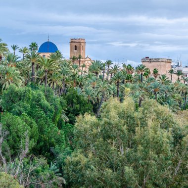 İspanya 'nın Alicante eyaleti Elche şehri, Palmiye koruluğu ve bazilika manzarası