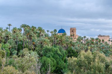 İspanya 'nın Alicante eyaleti Elche şehri, Palmiye koruluğu ve bazilika manzarası