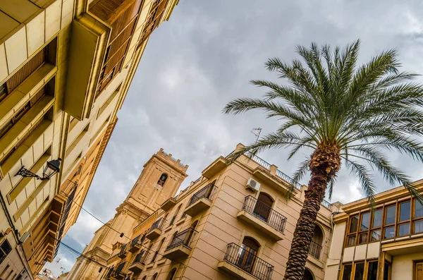 Uitzicht Barokke Basiliek Stad Elche Provincie Alicante Spanje — Stockfoto