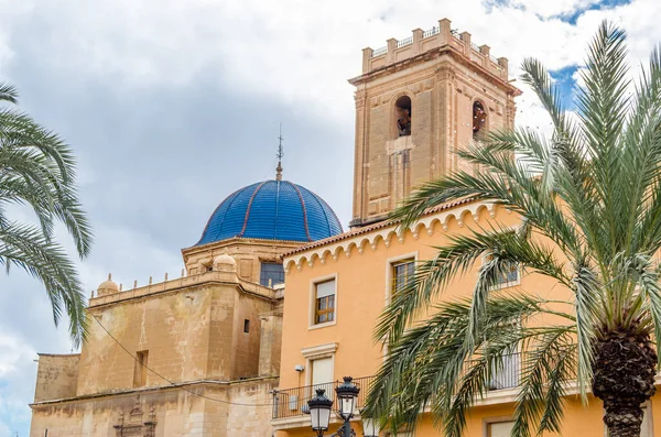 Kilátás Barokk Bazilika Város Elche Alicante Tartomány Spanyolország — Stock Fotó