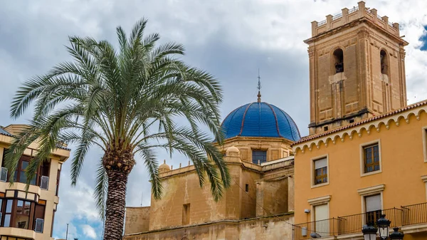 Uitzicht Barokke Basiliek Stad Elche Provincie Alicante Spanje — Stockfoto