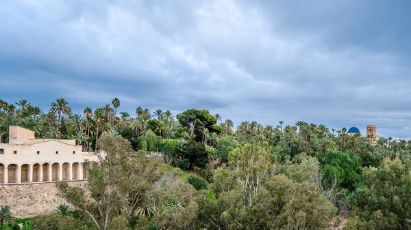 İspanya 'nın Alicante eyaleti Elche şehri, Palmiye koruluğu ve bazilika manzarası