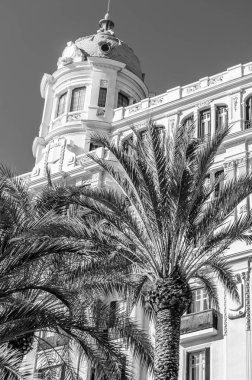 İspanya 'nın Akdeniz kenti Alicante' de mimari ve palmiye ağaçları; siyah ve beyaz resim