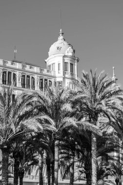 İspanya 'nın Akdeniz kenti Alicante' de mimari ve palmiye ağaçları; siyah ve beyaz resim