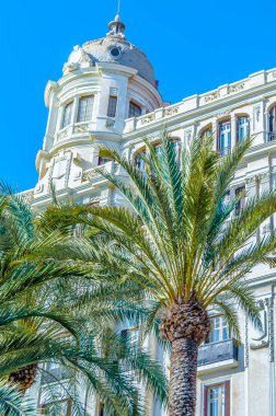 İspanya 'nın Akdeniz kenti Alicante' de mimari ve palmiye ağaçları; renkli çizimler