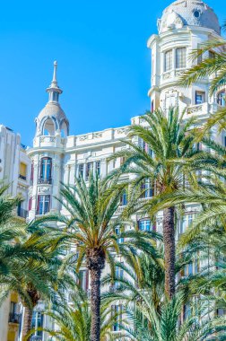 İspanya 'nın Akdeniz kenti Alicante' de mimari ve palmiye ağaçları; renkli çizimler