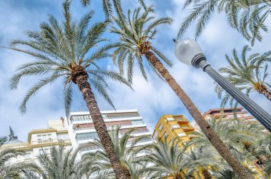 İspanya 'nın Akdeniz kenti Alicante' de mimari ve palmiye ağaçları; renkli çizimler