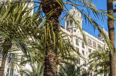 İspanya 'nın Akdeniz kenti Alicante' de mimari ve palmiye ağaçları