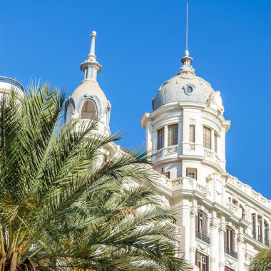 İspanya 'nın Akdeniz kenti Alicante' de mimari ve palmiye ağaçları