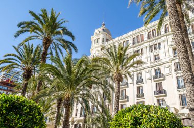 İspanya 'nın Akdeniz kenti Alicante' de mimari ve palmiye ağaçları