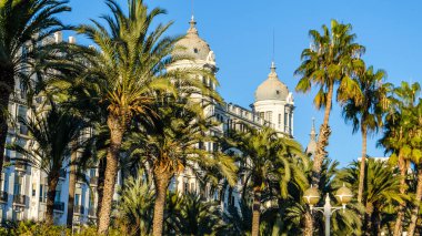 İspanya 'nın Akdeniz kenti Alicante' de mimari ve palmiye ağaçları