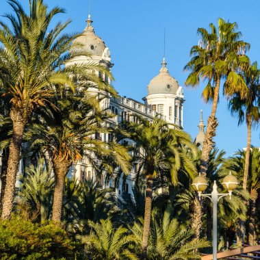İspanya 'nın Akdeniz kenti Alicante' de mimari ve palmiye ağaçları