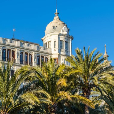 İspanya 'nın Akdeniz kenti Alicante' de mimari ve palmiye ağaçları