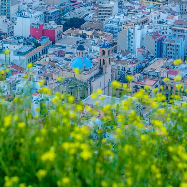 Veduta Aerea Della Città Mediterranea Alicante Spagna — Foto Stock