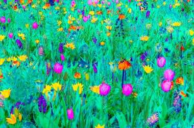 Bahar çiçeklerinin renkli çizimi, canlı arkaplan