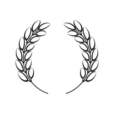 Buğday çelengi, pirinç. Mısır gevreği ekinleri. Tasarım elemanları. Vektör.