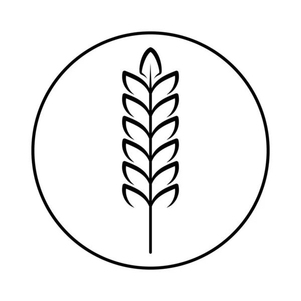 Колючка Зерновых Культур Пшеница Ржаной Хлеб Рис Векторное Изображение Белом — стоковый вектор