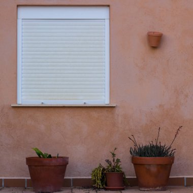 Beyaz pencereli bej bir duvar ve bitkilerle dolu saksılar. Dış tasarım.