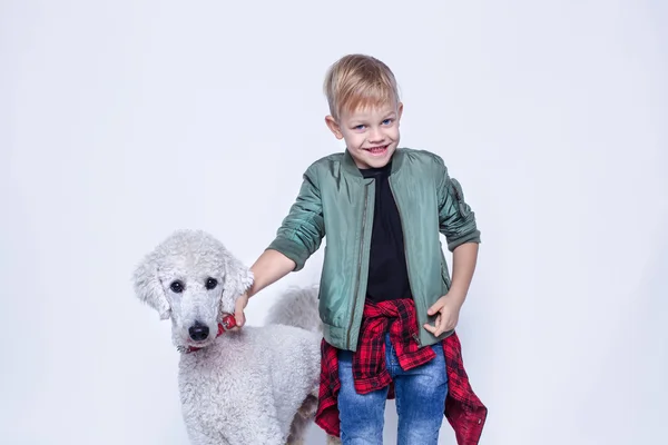 Um miúdo bonito com o Royal Poodle. Moda. Amizade entre pessoas e animais. Retrato de estúdio isolado sobre fundo branco — Fotografia de Stock