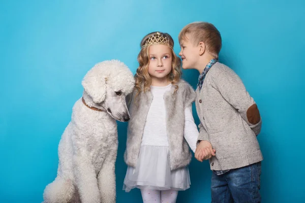 Pequena princesa e menino bonito com poodle real. Com amor. Amizade. Família. Retrato de estúdio sobre fundo azul — Fotografia de Stock