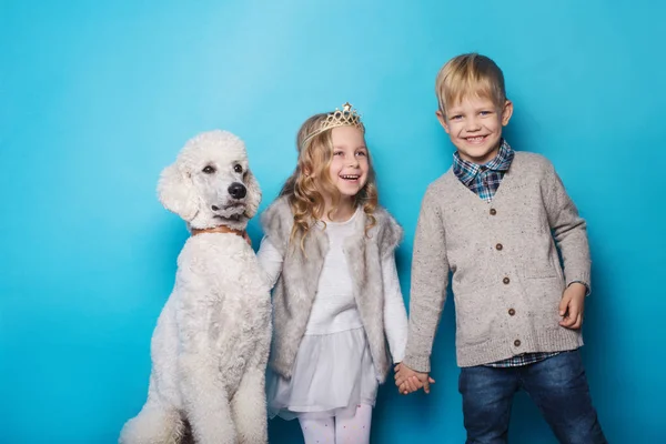 Lilla prinsessa och stilig pojke med Royal pudel. Kärlek. Kamratskapet. Familj. Studio porträtt över Blå bakgrund — Stockfoto