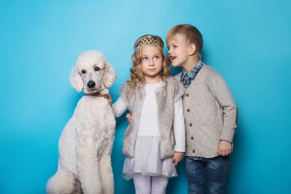 Kleine Prinzessin und schöner Junge mit königlichem Pudel. Liebe. Freundschaft. Familie. Studioporträt über blauem Hintergrund — Stockfoto