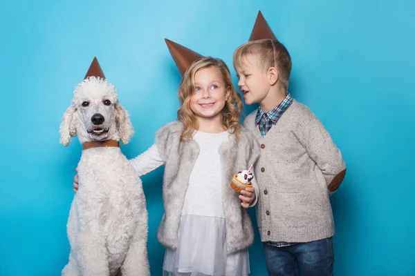 Kleines schönes Mädchen und schöner Junge mit Hund feiern Geburtstag. Freundschaft. Familie. Studioporträt über blauem Hintergrund — Stockfoto