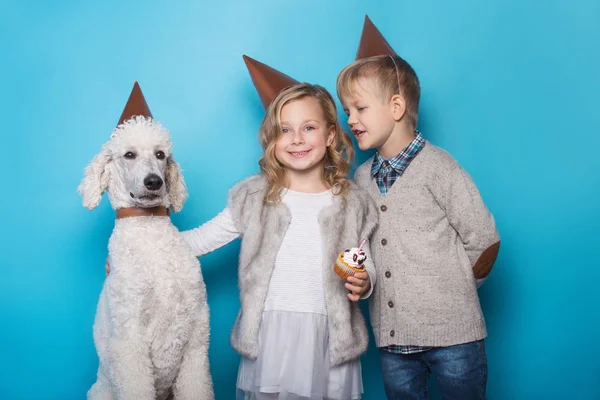 Küçük güzel kız ve yakışıklı erkek ile köpek doğum günü kutlamak. Dostluk. Aile. Stüdyo portre üzerinde mavi arka plan — Stok fotoğraf