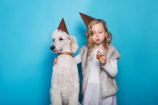 Pequena menina bonita com cão comemorar o aniversário. Amizade. Com amor. Bolo com vela. Retrato de estúdio sobre fundo azul — Fotografia de Stock