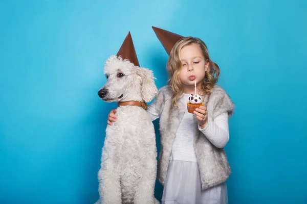 Pequena menina bonita com cão comemorar o aniversário. Amizade. Com amor. Bolo com vela. Retrato de estúdio sobre fundo azul — Fotografia de Stock