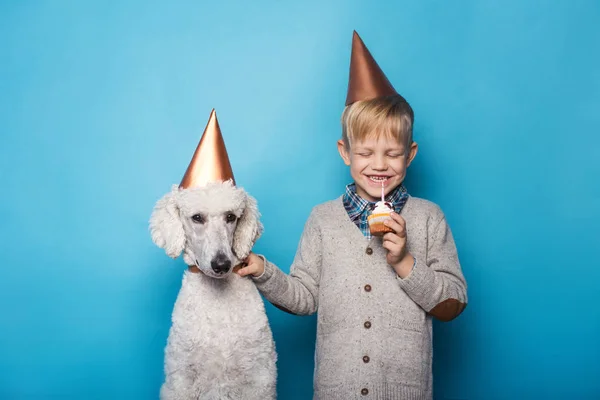 Un băieţel chipeş cu câine sărbătoreşte ziua de naştere. Prietenie. Dragoste. Tort cu lumânare. Portret studio pe fundal albastru — Fotografie, imagine de stoc