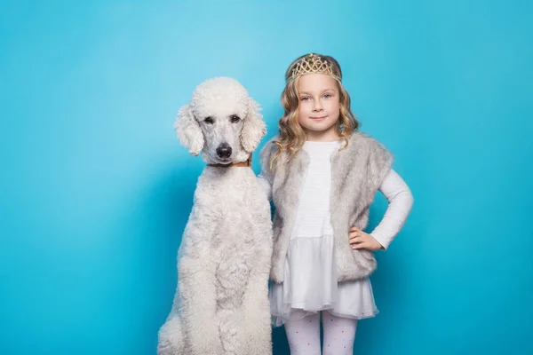Beautiful little princess with dog. Friendship. Pets. Studio portrait over blue background — Stock Photo, Image