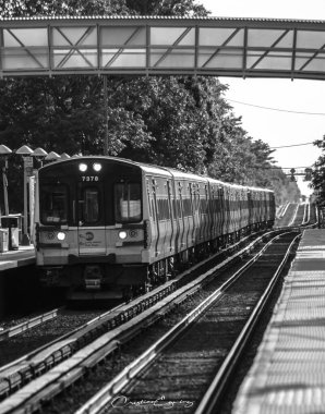 Long Island treni paralel hatlardan ayrılıyor.