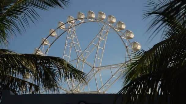 Roda gigante em um parque de diversões — Vídeo de Stock