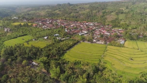 Tarım arazisi olan tropikal araziler — Stok video