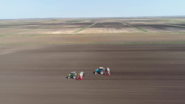 Cultiver la salade sur le champ de la ferme — Video