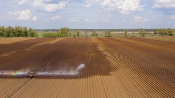 Sistema de riego en tierras agrícolas — Vídeo de stock