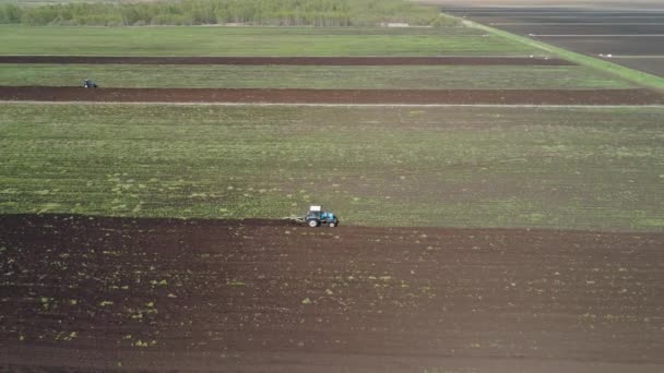 Aratri trattore terreno agricolo — Video Stock