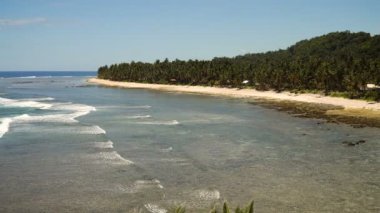 Filipinler 'de tropikal bir adada kumsal.