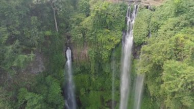 Güzel tropikal şelale bali Endonezya