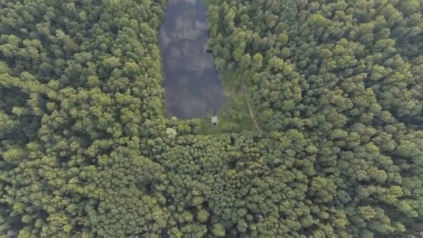 Luftbild, das über den Wald fliegt — Stockvideo