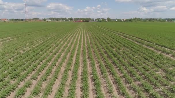 A légi felvétel a mezőgazdasági földterületek — Stock videók