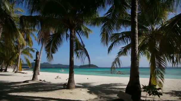 Vacker strand och tropiskt hav — Stockvideo
